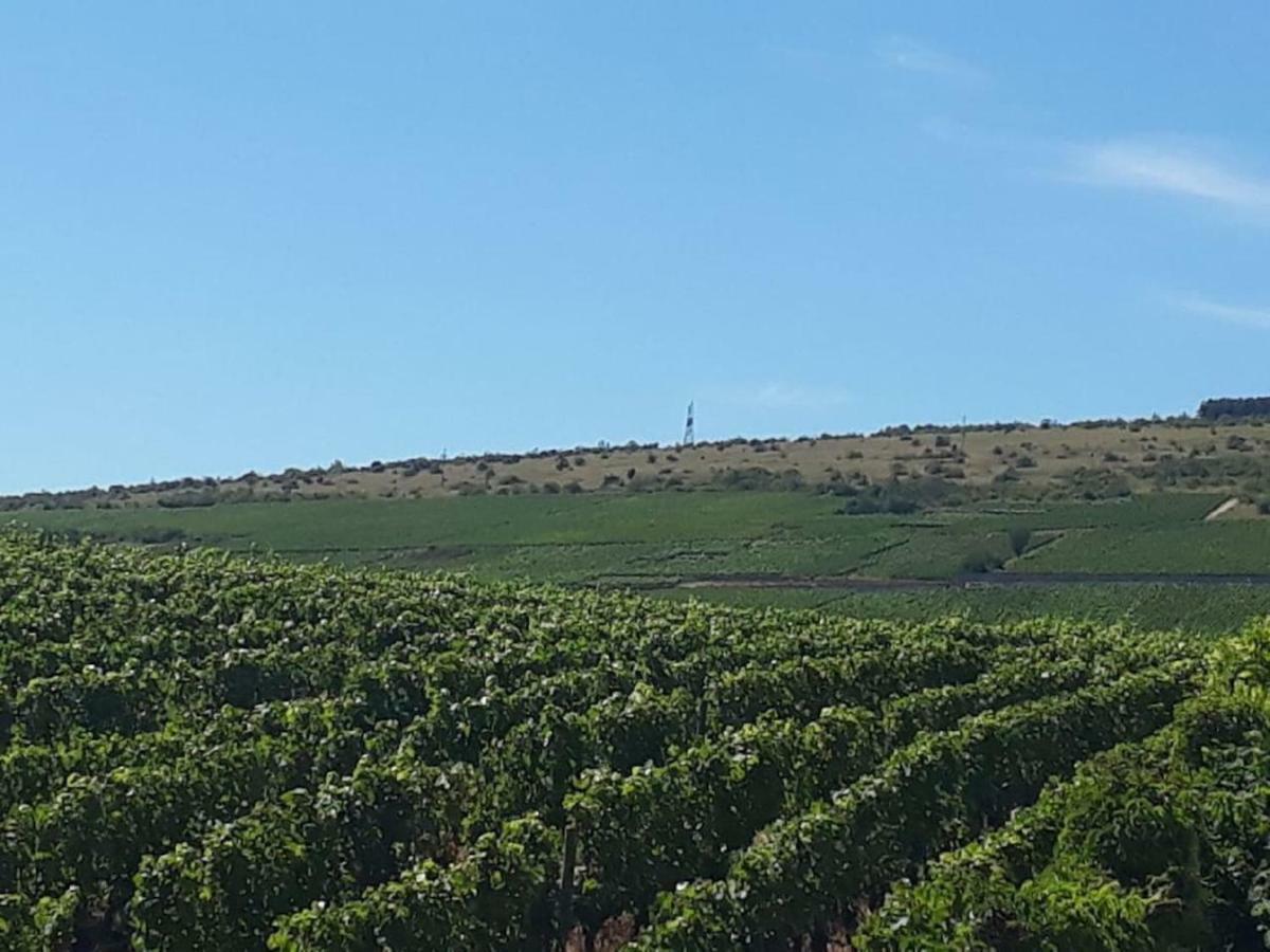 La Layotte Villa Vosne-Romanée Екстериор снимка